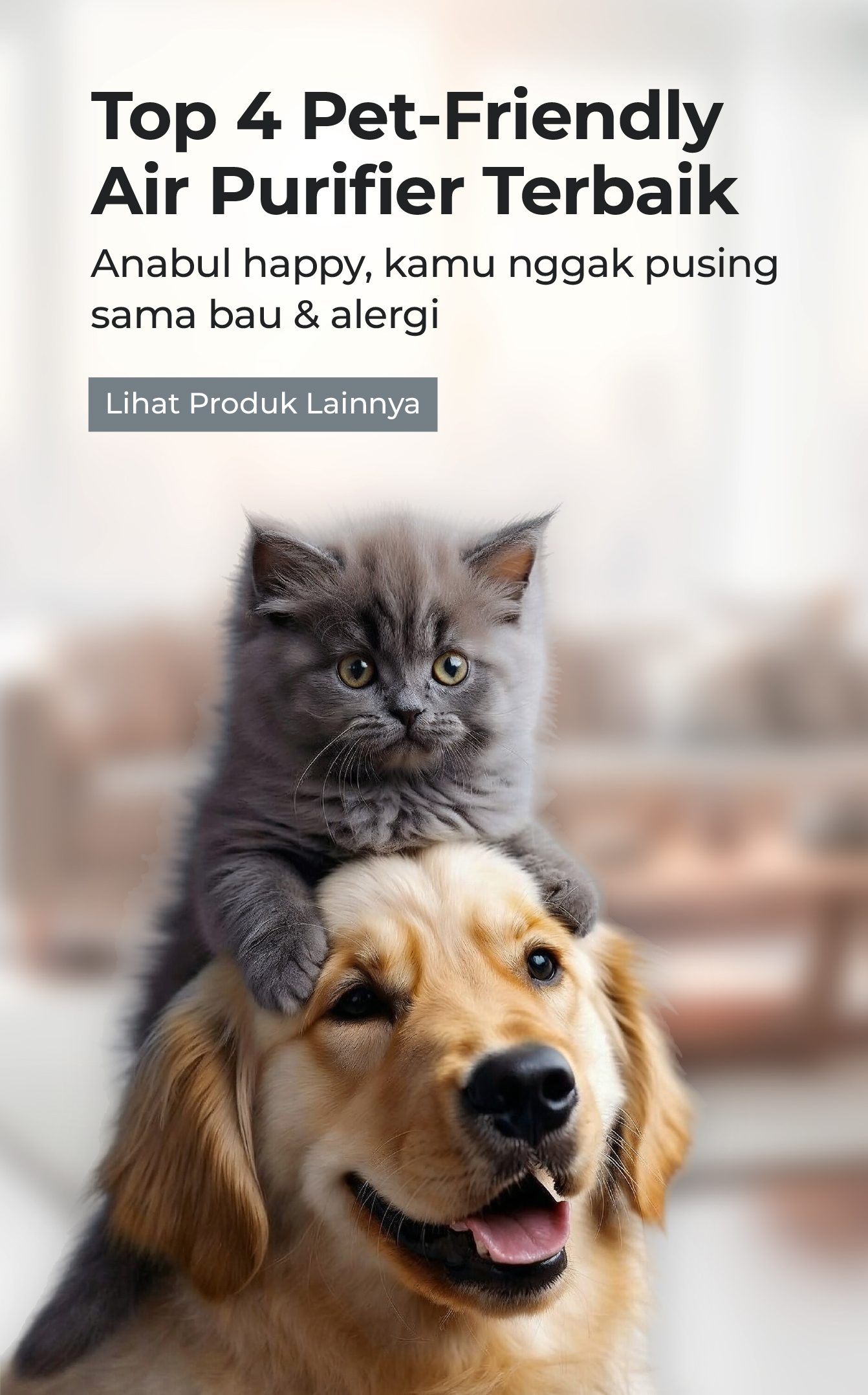 Top 4 Pet-Friendly Air Purifier