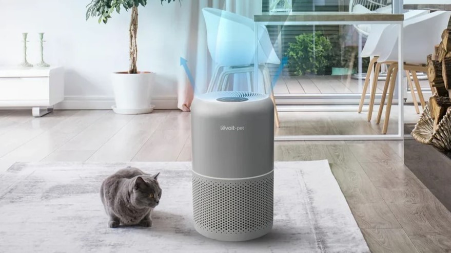 5-Cara-Hilangkan-Bau-Kucing-di-Rumah