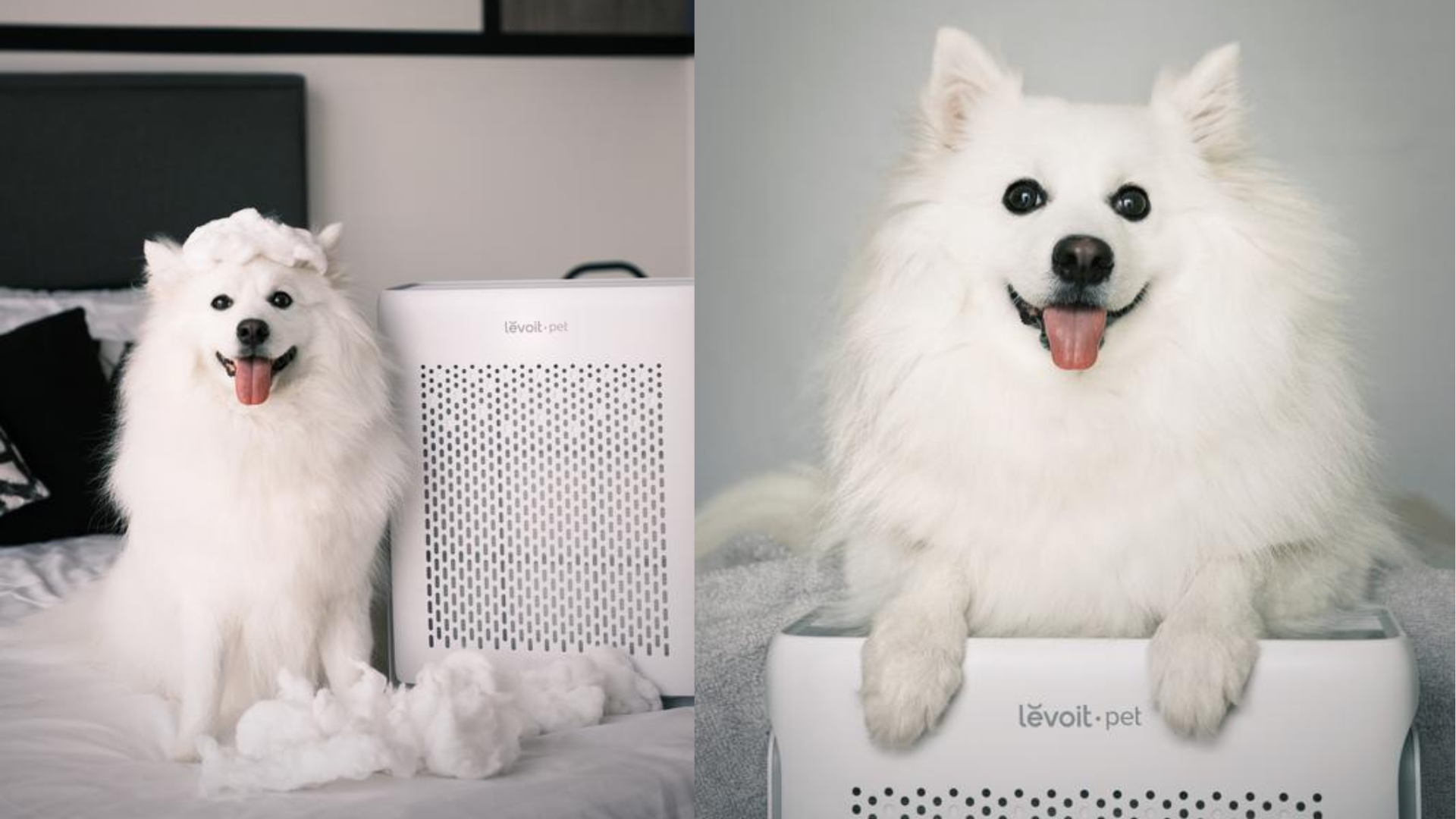 Kenali-5-Kelebihan-Levoit-Vital-100S-Air-Purifier-Pet-Friendly