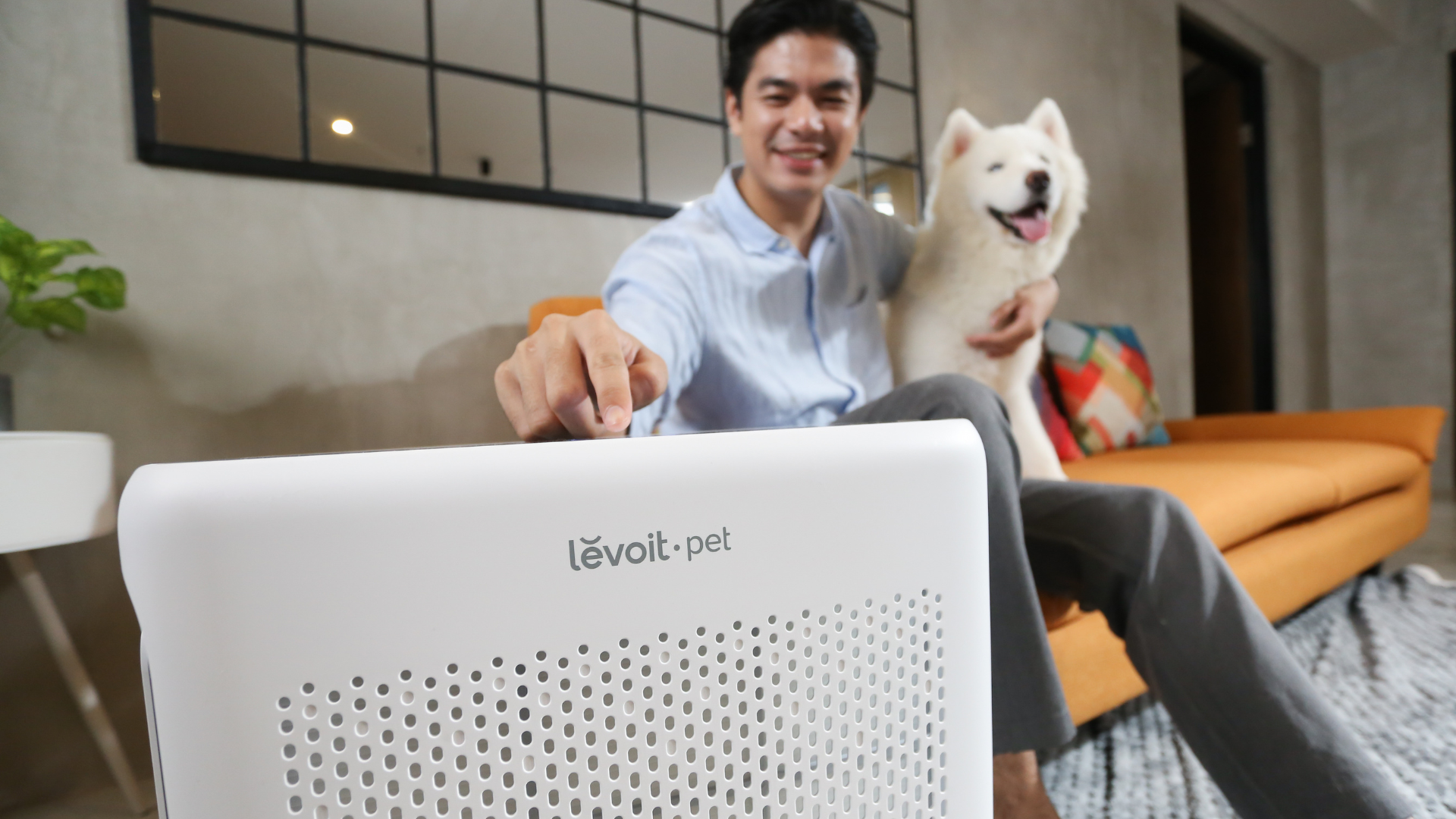 3-Air-Purifier-Levoit-Khusus-Pet-Paling-Best-Seller