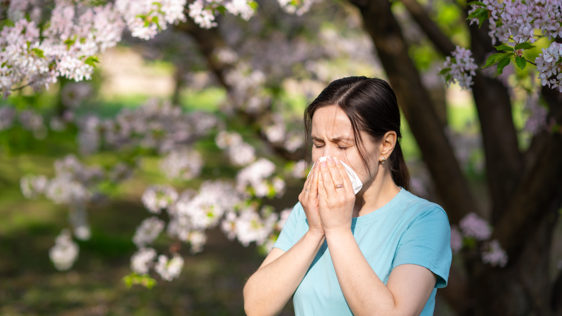 Apa-Itu-Alergi-Hay-Fever?-Kenali-5-Pemicunya
