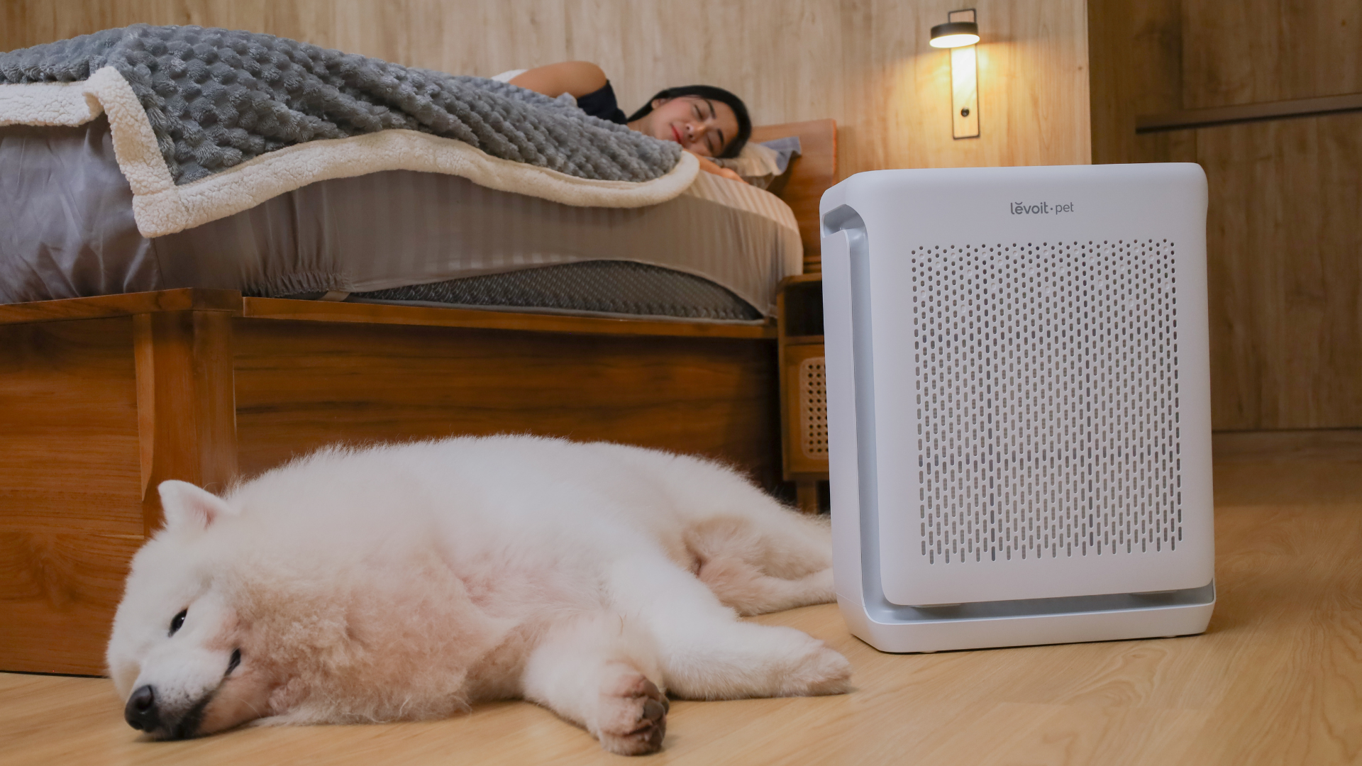 5-Tips-Atasi-Alergi-Bulu-Meski-Punya-Hewan-Peliharaan